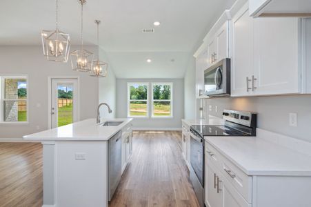 New construction Single-Family house 313 Country Club Dr, Crestview, FL 32536 plan Sierra - image 7