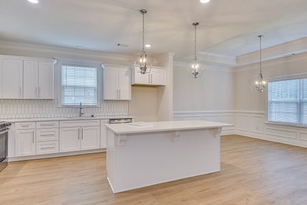 New construction Single-Family house 5033 Chimney Swift Path, Aiken, SC 29803 plan Augusta II - image 8