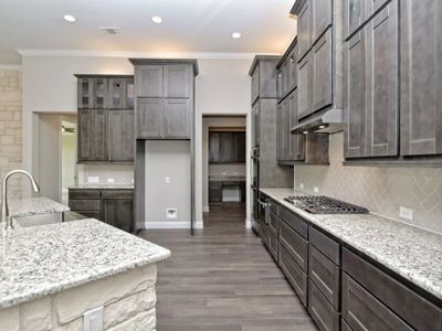 New construction Single-Family house 209 Bold Sundown, Liberty Hill, TX 78642 plan San Simeon II - image 7