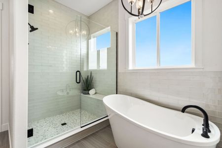 New construction Single-Family house 948 Rhapsody Dr, Windsor, CO 80550 plan Camden - image 15