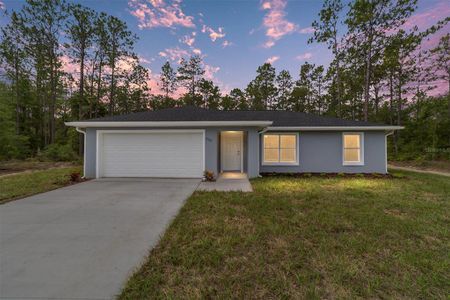 New construction Single-Family house 20926 Sw Robin Dr, Dunnellon, FL 34431 - image