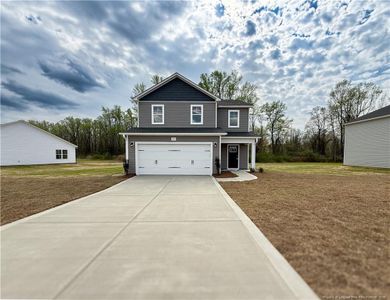 New construction Single-Family house 185 Crusher Dr, Parkton, NC 28371 - image