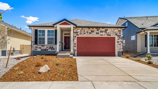 New construction Single-Family house 22224 E 49Th Pl, Aurora, CO 80019 plan Newport - image