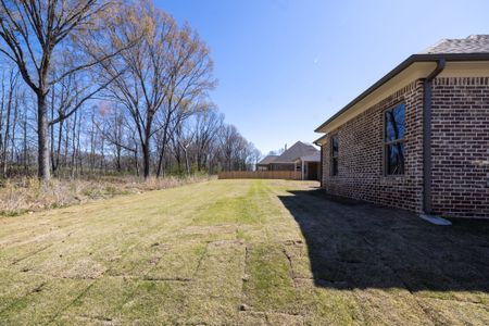 New construction Single-Family house Oakland, TN 38060 plan Sterling - image 17