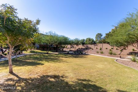 New construction Single-Family house 1315 W Bluejay Drive, Chandler, AZ 85286 - photo 31 31