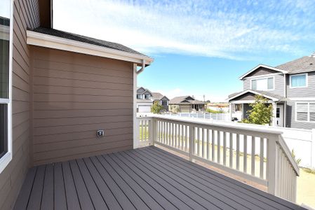 New construction Single-Family house 437 Vivid Ln, Windsor, CO 80550 null- photo 37 37