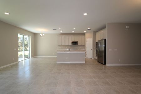 New construction Single-Family house 9603 Crescent Ray Dr, Wesley Chapel, FL 33545 Barcello Bonus- photo 58 58