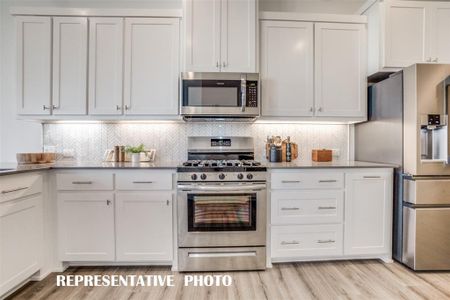 Dream kitchens are our specialty at Lake Ridge Commons!  REPRESENTATIVE PHOTO OF MODEL HOME.