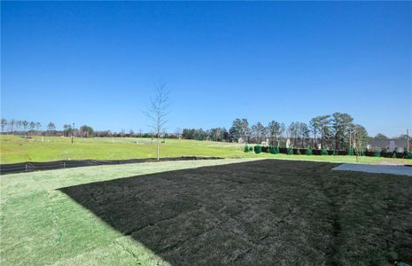 New construction Single-Family house 165 Delilah St, Mcdonough, GA 30252 Hampton- photo 31 31