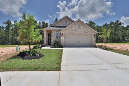 New construction Single-Family house 26815 Soapberry Ln, Magnolia, TX 77316 plan 1736W - image