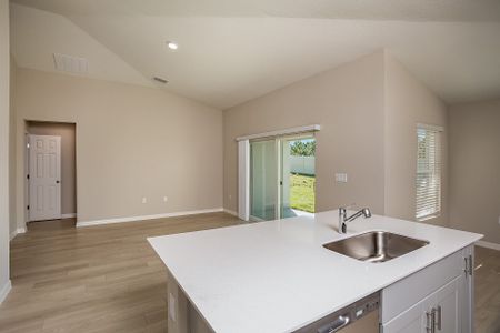 New construction Single-Family house 12842 Canter Call Rd, Lithia, FL 33547 null- photo 6 6