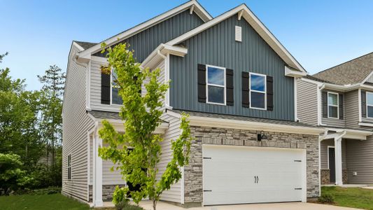 New construction Single-Family house 121 Hanging Elm Ln, Fuquay Varina, NC 27526 plan Walden - image