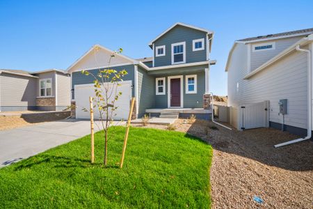 New construction Single-Family house 9673 Pinpoint, Fountain, CO 80817 plan Olive - image 4