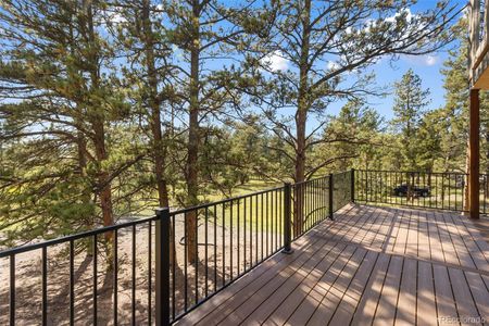 New construction Single-Family house 240 N Mountain Estates Rd, Florissant, CO 80816 - image