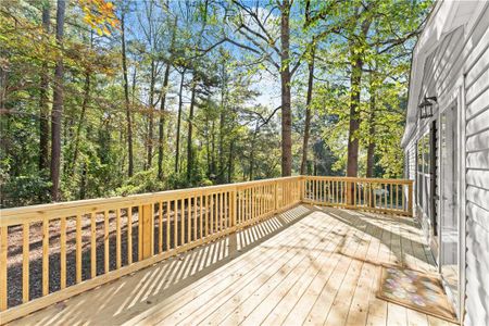 New construction Single-Family house 470 Gold Hill Dr Se, Acworth, GA 30102 - image
