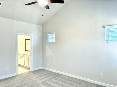 New construction Single-Family house 237 Taylor Woods Ct, Greenville, SC 29607 plan The Princeton A - image 14