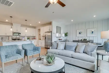 New construction Single-Family house 617 Basalt Ct, Chapin, SC 29036 plan The Easton - image