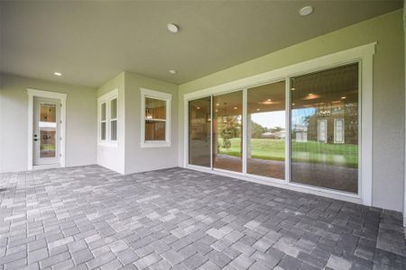 New construction Single-Family house 19395 Sheltered Hill Dr, Brooksville, FL 34601 Sawgrass- photo 56 56