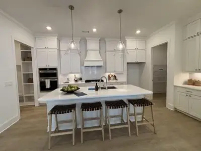 New construction Single-Family house 436 Edgewater Chase, Canton, GA 30115 plan The Sterling - image 14