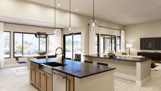 New construction Single-Family house Gold Canyon, AZ 85118 plan 1026 - image 8