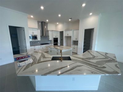 New construction Single-Family house 1044 Signet Drive, Apollo Beach, FL 33572 Florenzo- photo 2 2