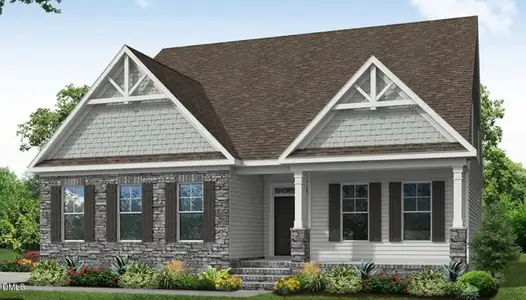 New construction Single-Family house 447 Rising Star Dr, Clayton, NC 27520 plan Cooper - image