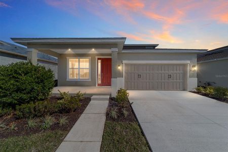 New construction Single-Family house 5689 Sw 72Nd Ct, Ocala, FL 34474 - image