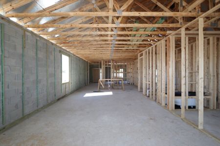 New construction Single-Family house 3142 Adams Cross Dr, Zephyrhills, FL 33540 Picasso- photo 21 21