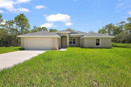 New construction Single-Family house 13740 Sw 89Th St, Dunnellon, FL 34432 - image