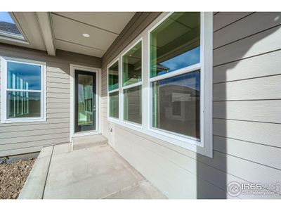 New construction Single-Family house 1825 Flourish Dr, Windsor, CO 80550 plan Plan C552 - image