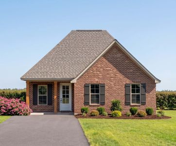 New construction Single-Family house 14 Splendor Run, Freeport, FL 32439 plan Gauguin III A - image