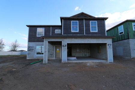 New construction Single-Family house 38350 Tobiano Loop, Dade City, FL 33525 Cabo- photo 53 53