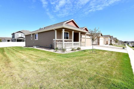 New construction Single-Family house 437 Vivid Ln, Windsor, CO 80550 null- photo 2 2