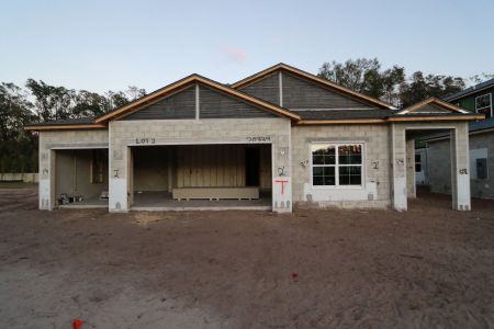 New construction Single-Family house 20339 Oriana Loop, Land O' Lakes, FL 34638 Newport II- photo 51 51