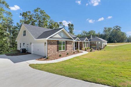 New construction Single-Family house 3390 Trevi Trl, Douglasville, GA 30135 plan 3040 - image