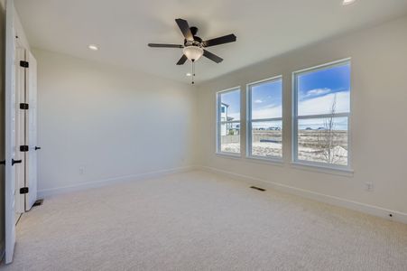 New construction Single-Family house 8451 Dines Blvd, Colorado Springs, CO 80908 plan Plan C417 - image 18