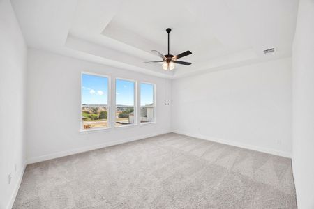 New construction Single-Family house 537 Tonada Cv, Liberty Hill, TX 78642 plan The Collins - image 17