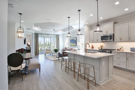 New construction Single-Family house 20413 SYLVESTER PALM Ln, Bradenton, FL 34212 plan Tidewinds 2 - image 5