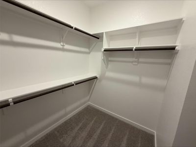 New construction Single-Family house 3709 Violet Ln, Huntsville, TX 77340 - image 17