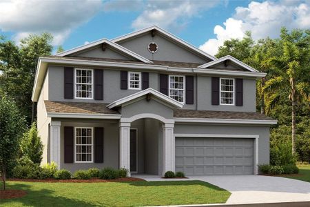 New construction Single-Family house 14806 Summer Branch Dr, Lithia, FL 33547 null- photo 0