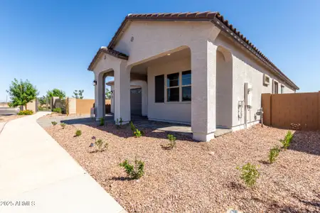 New construction Single-Family house 21961 E Saddle Ct E, Queen Creek, AZ 85142 plan Cassandra - image