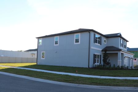 New construction Single-Family house 20288 Oriana Loop, Land O' Lakes, FL 34638 Coronado II- photo 107 107