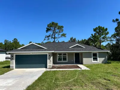 New construction Single-Family house 9232 N Citrus Springs Blvd, Citrus Springs, FL 34433 - image
