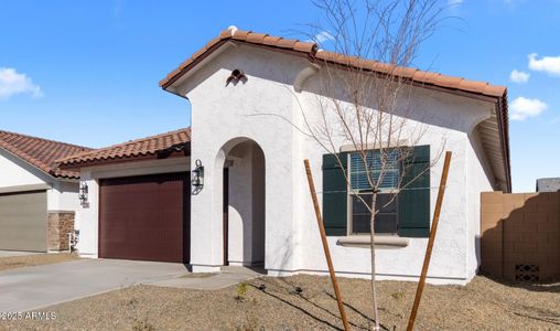 New construction Single-Family house 7552 W Park St, Laveen, AZ 85339 The Orinoco- photo 2 2