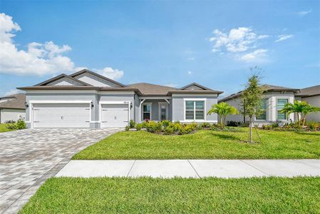 New construction Single-Family house 9018 Sunray Cv, Parrish, FL 34219 Stellar- photo 0