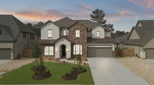 New construction Single-Family house 41734 Wendele Wy, Montgomery, TX 77316 plan Briggs - image