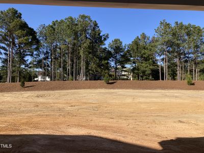 New construction Single-Family house 70 Paper Birch Trl, Unit 166, Garner, NC 27529 Warwick- photo 13 13