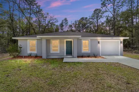 New construction Single-Family house 14370 Sw 26 Ln, Ocala, FL 34481 null- photo 0