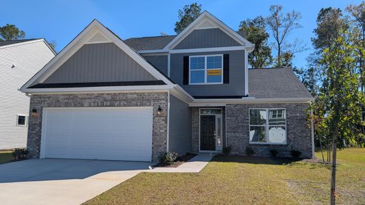 New construction Single-Family house 124 Palfrey Dr, Ridgeville, SC 29472 plan Raleigh - image
