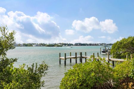 New construction Single-Family house 88 W Riverside Dr, Jupiter, FL 33469 null- photo 77 77